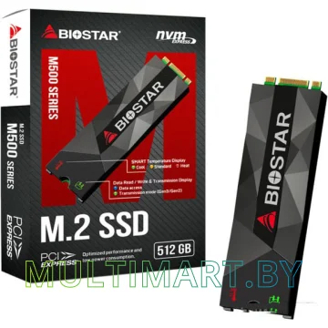 SSD диск BIOSTAR M500 512GB (M500-512GB)